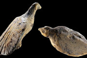 海外の反応　氷河時代の傑作、4万年前の驚くべき鳥の彫刻