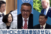 外国人「日本は台湾のWHO参加を一貫して支持してるのに…」