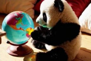 日本と台湾、中国人が考える一人旅の目的地の正解は？