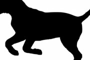 「眠っている犬の足が気になってしかたないとき…」ドキドキするポーズ