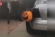 信じられない瞬間をとらえた映像集