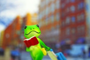 とんでもなくうるさくとんでもなく可愛いカエル🐸 海外の反応