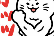 韓国人「朝日！日韓は協力しろってどういうことだ！」