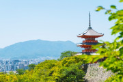 韓国人「オーバーツーリズムに苦しんでいる日本の京都を見てみよう」