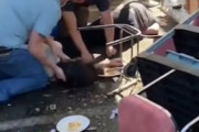 海外「【閲覧注意】69歳のボケ老人が車で屋外レストランに突っ込んだ後の惨状」