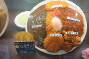 韓国人「韓国人が日本でマジでビビった『2500円のランチセット』がこちらです‥」→「色が‥（ﾌﾞﾙﾌﾞﾙ」　韓国の反応