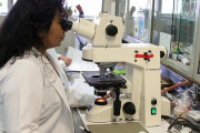 日本でDNA鑑定を使ってデートをする方法？？「DNAは何て意味あるの」「日本は家族を作りやすいのか」海外での反応