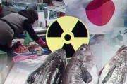 韓国人「放射能の危険は？」EUが日本福島産水産物の輸入規制を今年廃止に！放射性物質検査証明書がなくても輸出可能になる　韓国の反応