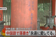 韓国人「日本でまた中国人がやらかしたｗｗｗｗｗ」