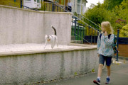 【海外】「毎朝子どもを学校へ送る猫が、スコットランドのコミュニティを結束！UKナショナルキャットアワードにあなたの投票を！」