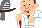 韓国人「豊臣秀吉は韓国を侵略した悪人でしかないのに、どうして日本の人たちは韓国人の気持ちを考えてちゃんと悪い奴扱いしないんですか？」
