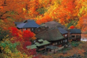 【韓国の反応】膨れ上がる「日本旅行」の需要「宿泊予約2500%急増」…韓国の反応「反日は政治的な道具にすぎない。/政治的扇動はやめよう。」