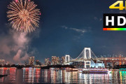 海外「日本のみんなに良い新年を！」お台場に打ちあがった花火の映像に注目