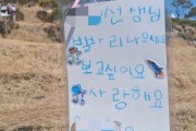 高熱でも働かされ命を落とした25歳教師…韓国で噴出した“休めない現場”への怒り