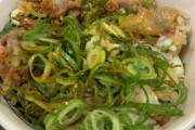 韓国人「韓国人がガチで日本で食べて美味しいと思った料理がこちらです‥」→「思ったより量も多かった」　韓国の反応