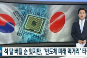 韓国人「意地を張っても3ヵ月が限界‥」韓国半導体業界が緊迫！先端半導体は危機　韓国の反応