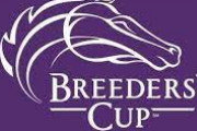 海外の反応   米ブリーダーズカップの日本馬紹介動画がカッコいい！