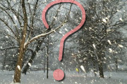 「ご近所さんの雪かきがひどい」同情を引く大雪の翌日の写真