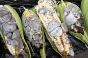 メキシコ人「よその国の人達をドン引きさせる食べ物といえば何？」