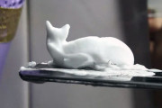 外国人「目の錯覚で生物にしか見えないものを集めてみたｗｗｗｗ」