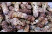 【中国の反応】日本では、松茸は高級食材らしいけど・・・！？中国の松茸事情とは？