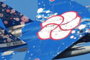 【海外】「日本はクールすぎる」日本の戦闘機の塗装が海外を魅了！