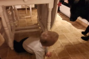 男の子と追いかけっこをしているジャーマンシェパードが、距離が離れすぎないように気を使っている様子にほっこり
