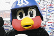 【海外の反応】ヤクルトのつば九郎、遠くからカメラを凝視する「マスコットってホラーなんだよな…」