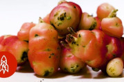 カリフォルニアの美しい果物と野菜　海外の反応