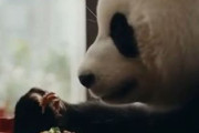 中国人「日本で一週間毎日松屋に行こうとしたのだけど・・」　中国人「私は1ヶ月間通った」「私は中国でも通ってる」