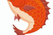 【韓国の反応】「私も知らないうちに食べたのかな？」日本の魚、韓国産に大量に偽装。韓国の反応「最初から輸入禁止にすべきだった。/厳罰を求める。」