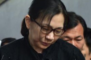 韓国のナッツ姫が夫へのDVと子供への虐待で告訴される（海外の反応）