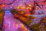 外国人が選んだ美しすぎるスポット　日本からも複数ランクイン