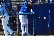 【海外】「なんてパワーだ！」大谷翔平の規格外の打撃練習に米大興奮！
