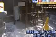 【海外の反応】日本の神社をガンビア人男性が破壊した　海外の反応「二度と日本に入れないようにしてくれ、無料で国に帰ろうとしたんだろう」