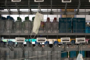 【韓国】"ひどい" マスク暴利論争 ... 一部の販売業者、12倍値上げ【新型肺炎・コロナウィルス】