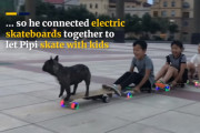 フレンチブルドッグがスケートボードを習得し、子供を乗せてあげるまでになる