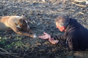 子犬と引き裂かれ、捨てられていたピットブル、4ヶ月通い詰めてくれた男性に心を開く
