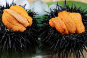 最初は苦手だったけど好きになった日本の食べ物は何？←「ウニ」「さんま」（海外の反応）