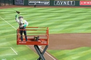 外国人の反応「ドジャースの試合を遅らせたハチたちはどうなったんだい」→