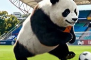中国人「日本紙がサッカー中国代表の最新FIFAランキングについて辛口コメント」　中国人「過大評価」「日本が優勝する時は中国が出る時」