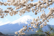 海外「こんな国が他にあるか…？」 外国人に対する日本人の本音を伝える投稿が大反響