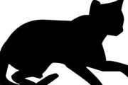 「うちの猫は、いつも上から目線で褒めてくる…」とあるキッチンの風景