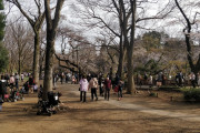 海外「日本人はコロナに勝てたのか？それとも無関心なやつらなのか？」外出自粛にもかかわらず出掛ける日本人に外国人も呆れている模様