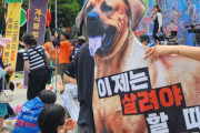 韓国人「犬食はもうやめよう！」