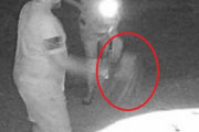 亡き愛犬の幽霊になって会いに来てくれた！防犯カメラに映り込んだ犬のような影に飼い主が感涙