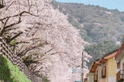 韓国人「この写真が撮られたのは韓国 or 日本？」「不法駐車が無いってことは……」