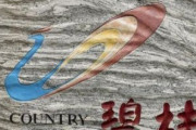 海外「バブル崩壊。中国最大の不動産開発企業カントリーガーデンが96%の減益報告」