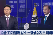 【韓国の反応】文在寅大統領 "我々には貿易の血が流れている" ... 輸出は11ヵ月連続ダウン↓【韓国経済・貿易・不況型黒字か】
