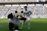 中国人「日本代表のサッカーは、今後一つの清流になるかもしれない」　中国人「世界中の選手が目指す方向」「アルゼンチンやポルトガルと同じ属性」